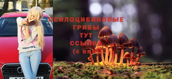 шишки Красноперекопск